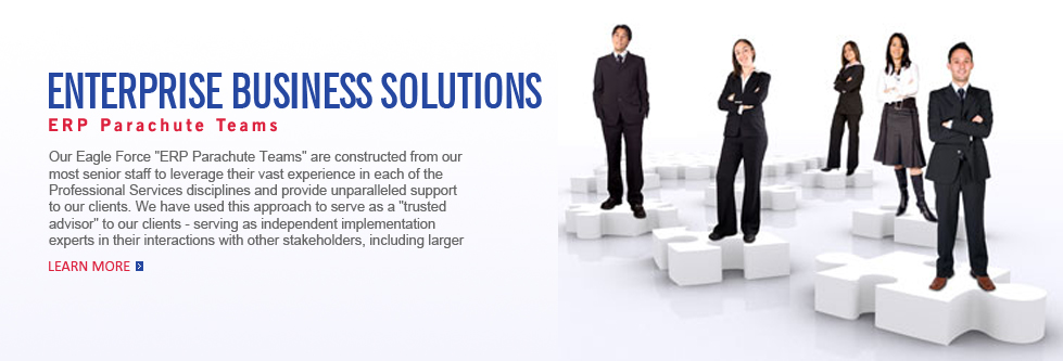 EagleForce Associates-Enterprise Resource Planning (ERP) Services